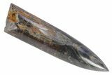 Jurassic Fossil Belemnite Rostrum - England #357343-1